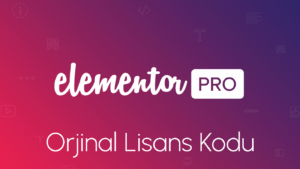 elementor pro lisans satın al