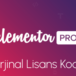 elementor pro lisans satın al