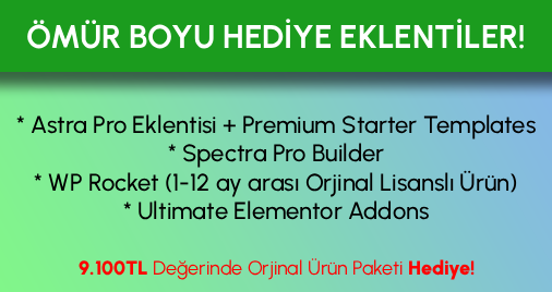 wordpress astra pro tema orjinal ÖmÜr boyu lisans